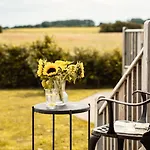 Hornington Manor Luxury Shepherd Huts