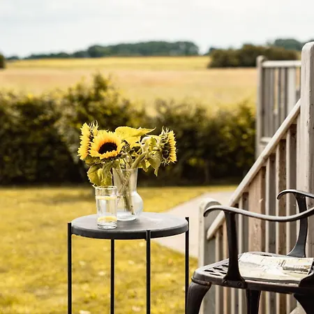 Hornington Manor Luxury Shepherd Huts